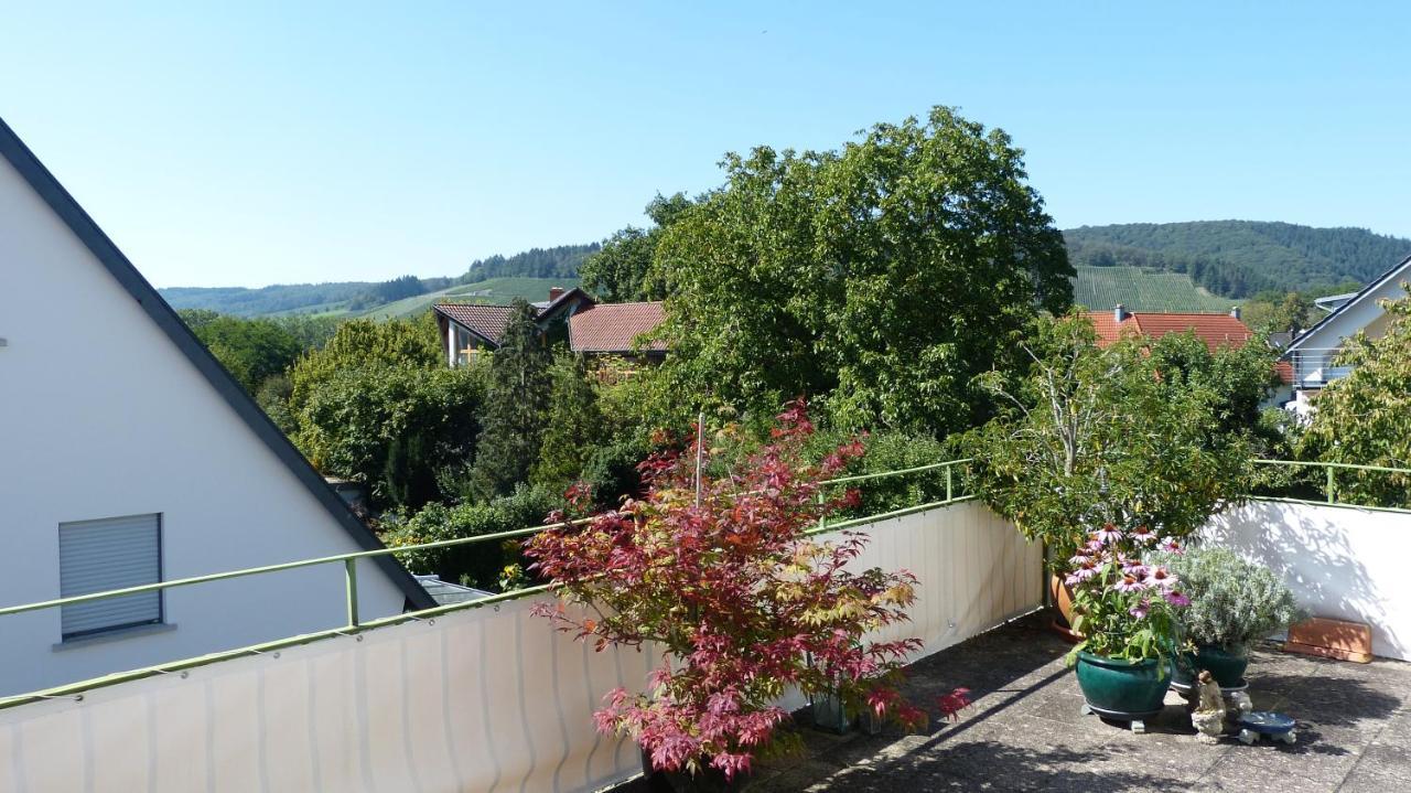 Eifelidylle Am Moselmaareradweg Apartamento Wittlich Exterior foto